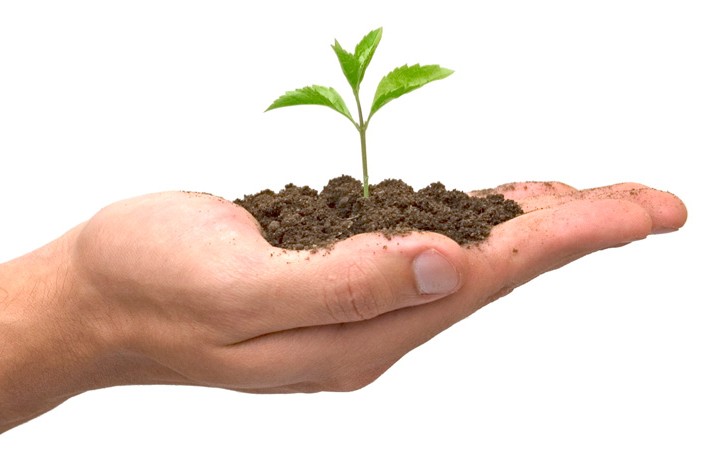 Seed investment