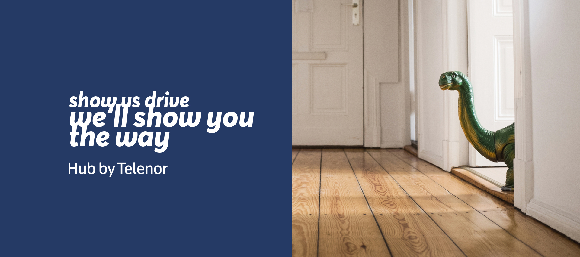 Telenor internship applicants sep23